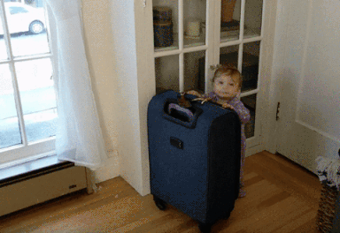 Imagem animada de bebê caindo em cima de mala de viagem