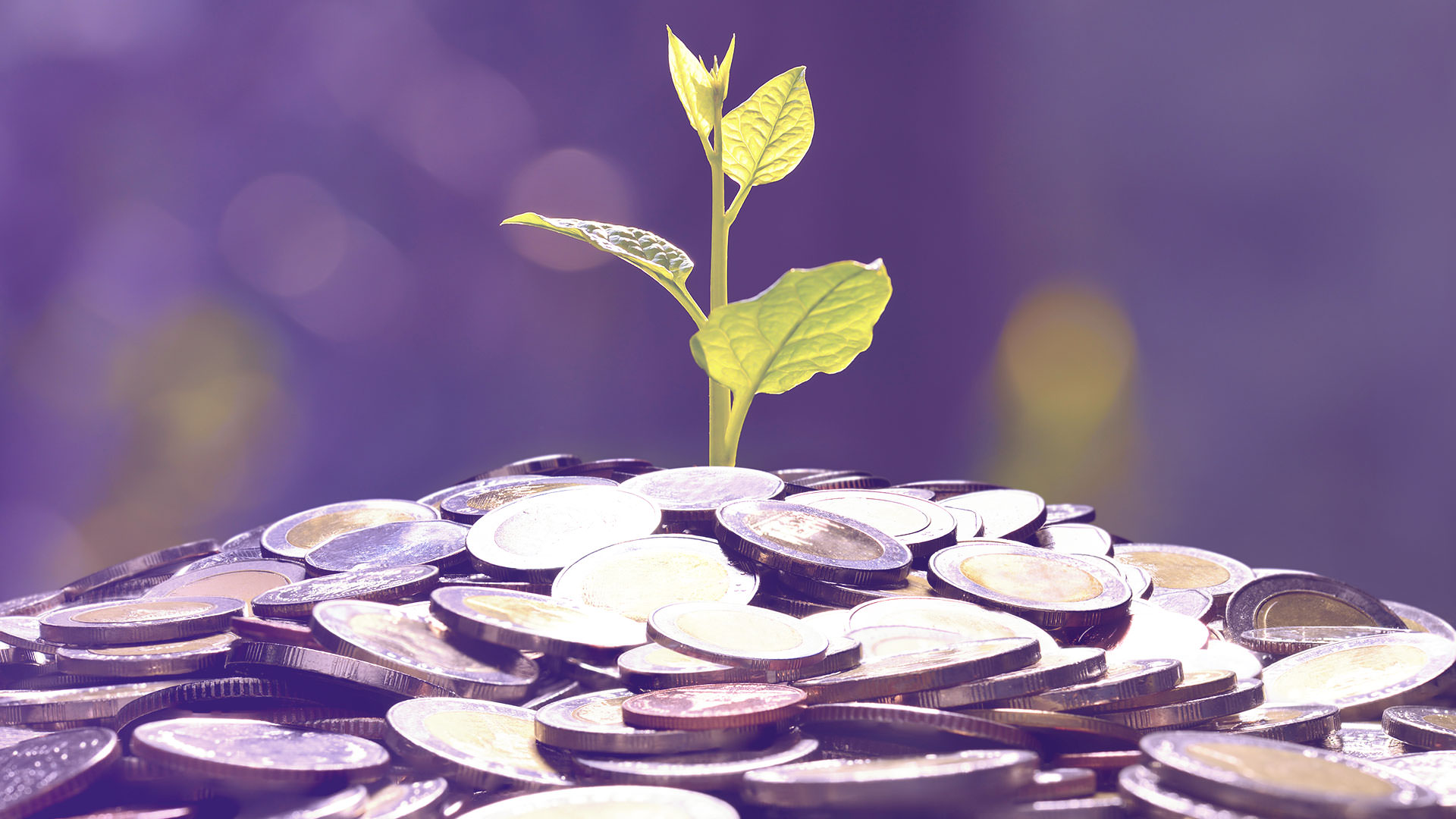 Mora fora do Brasil? Veja o que fazer para não ter Mora fora do Brasil? Veja o que fazer para não ter